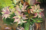 Лилии в картинах Ксении Черномор